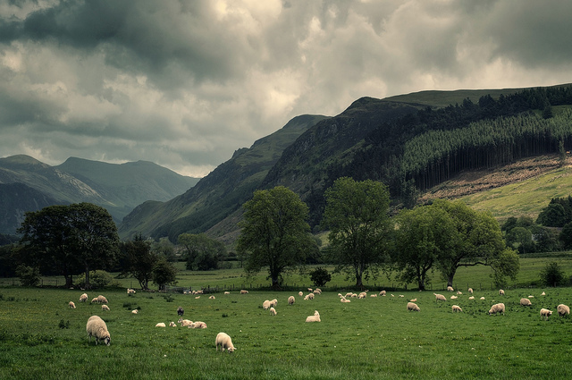 fotograf-martin-terner-7 (640x425, 159Kb)