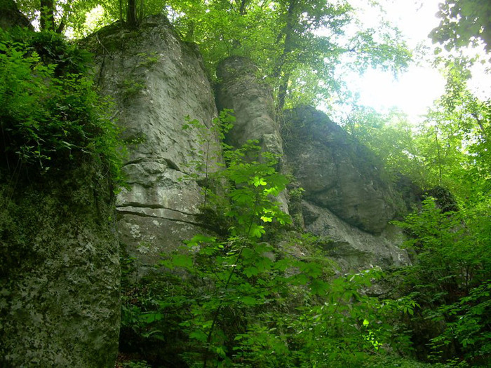 rezerwat_panienskie_skaly (700x525, 191Kb)