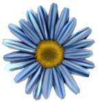  FM-Jeans and Flowers Element-66 (450x470, 241Kb)
