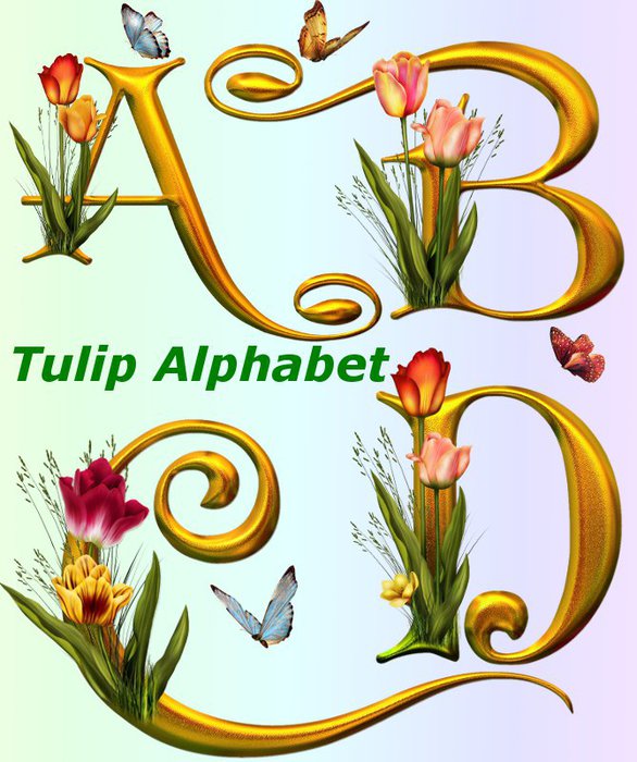 4865645_01Tulip_Alphabet (586x700, 89Kb)