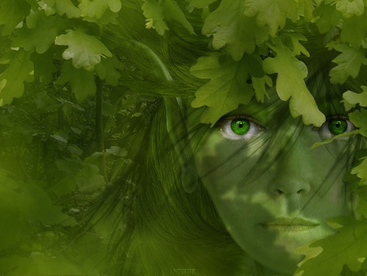 74120717 (533x400, 61Kb)