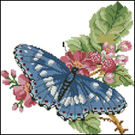  Blue Butterfly (336x339, 119Kb)