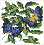  butterfly blues (279x282, 104Kb)