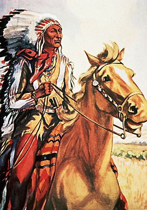 Illustration_Chief_Crazy_Horse_Oglala_Sioux_Males_Teton_Sioux_Sioux_Plains_Indians_North_Americans_b (490x700, 88Kb)