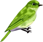  nnw_lilbird2 (700x686, 401Kb)