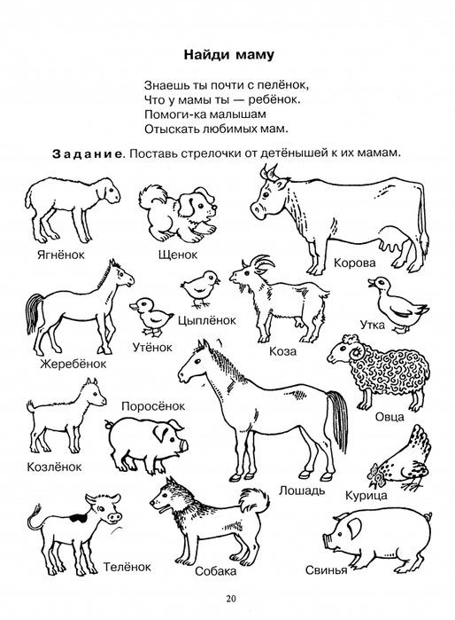 Дикие домашние животные рабочая тетрадь 2 класс. Логопедическое задание домашние животные и их Детеныши. Домашние животные и их Детеныши задания для дошкольников. Лексическая тема домашние животные и их Детеныши. Детеныши животных задания для дошкольников.