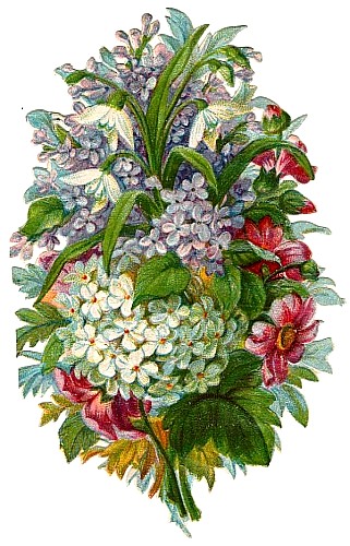 floral_illustrations_sjpg15633 (321x500, 73Kb)