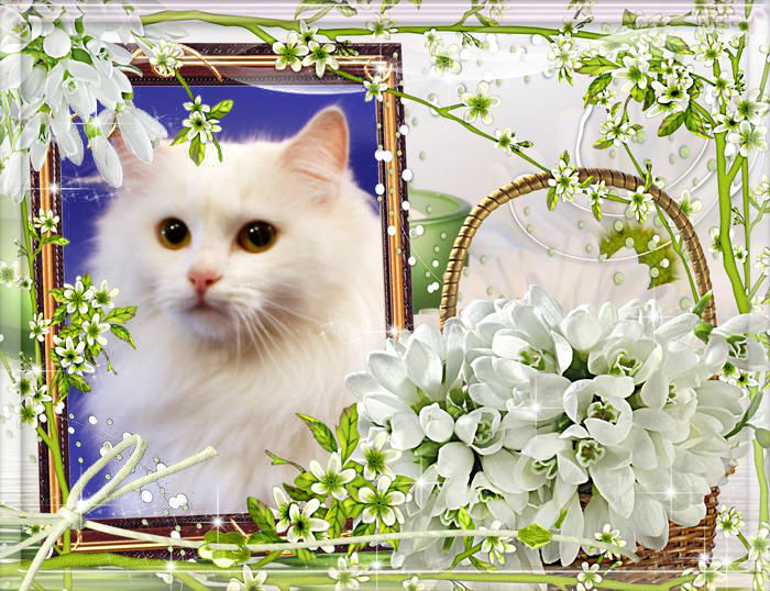 2124546_AlisinyaMarkys_otkritka_1 (700x538, 121Kb)