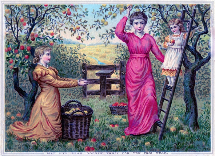 apple harvest vintage image graphicsfairy10 (700x506, 379Kb)