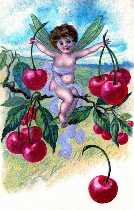 cherry fairy vintage images graphicsfairy007b (447x700, 313Kb)