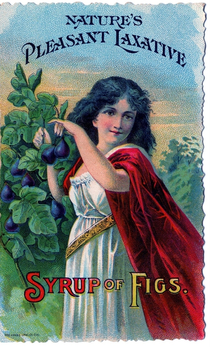 figs-graphicsfairy007a (424x700, 318Kb)