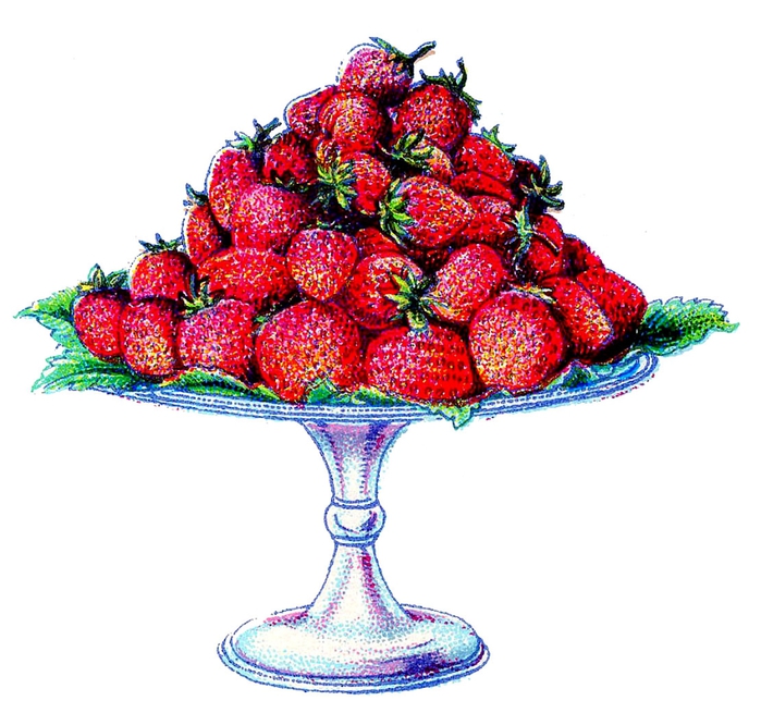 fruit-strawberries-beetons-graphicsfairy004 (700x655, 227Kb)