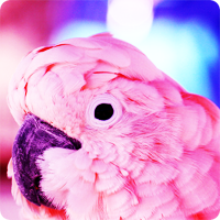 title559110070 (200x200, 79Kb)