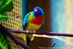  IMG_3094 (600x400, 205Kb)