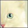 f5776501d688 (100x100, 8Kb)