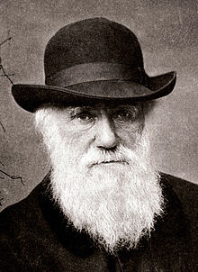 220px-Charles_Darwin_1880 (220x302, 22Kb)