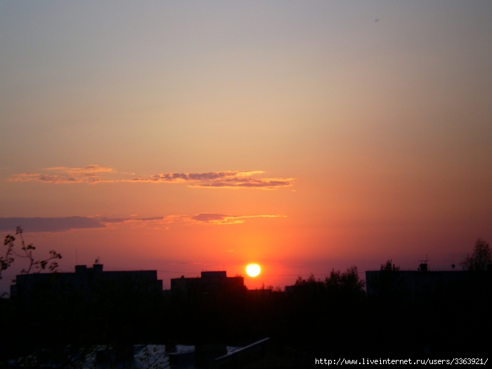 3363921_SANY0350 (700x525, 191Kb)