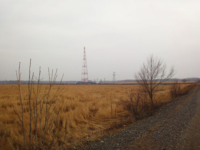 DSC03755-2 (648x486, 79Kb)