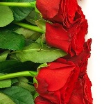 3815384_0_9b877_5d95be3e_XL__kopiya (150x150, 11Kb)