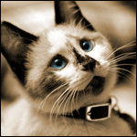 f346f246e67c (150x150, 44Kb)
