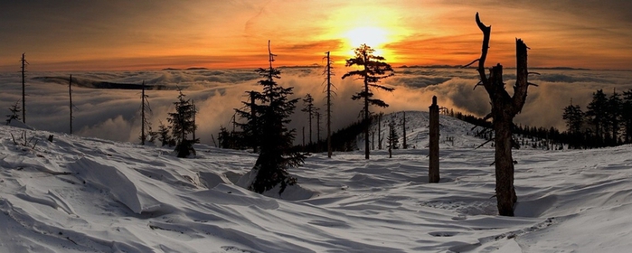 3623822_852 (700x280, 156Kb)
