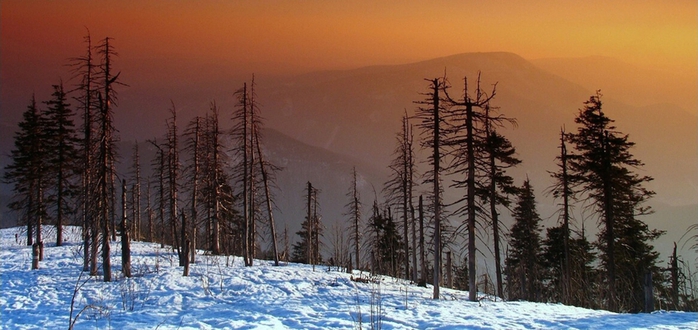 3623822_889 (700x330, 202Kb)
