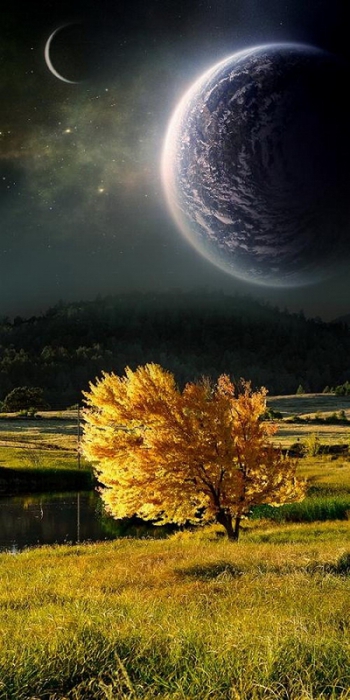 3623822_301 (350x700, 196Kb)