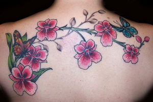 image001 (300x200, 14Kb)