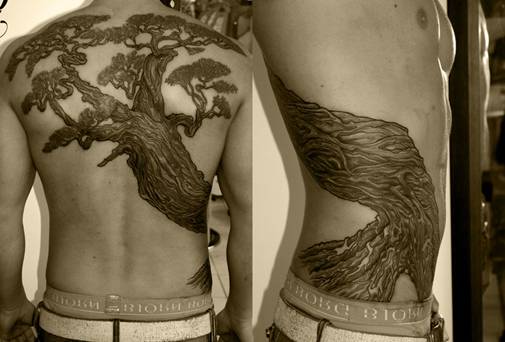 image003 (505x342, 26Kb)