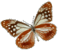 papillonkiss017 (94x80, 16Kb)