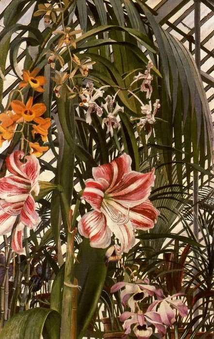 Orchids, Lilies, Palms,1945 (441x700, 107Kb)