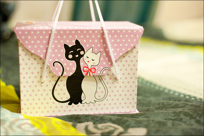 813321_DSC_5118 (700x466, 146Kb)