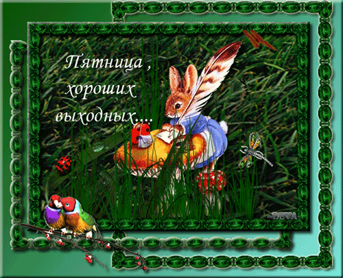 http://img0.liveinternet.ru/images/attach/c/5/86/511/86511858_b2695bdc12cb.gif