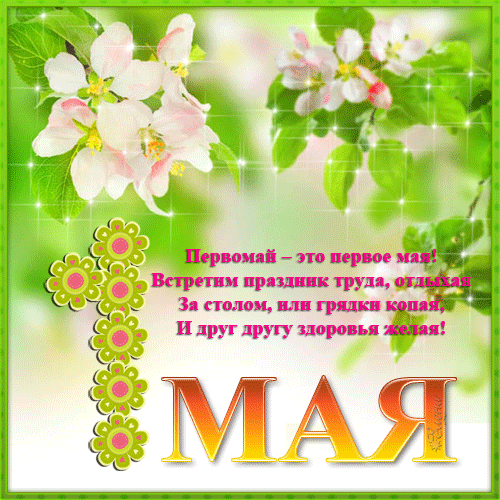 http://img0.liveinternet.ru/images/attach/c/5/86/543/86543288_1maya_1.gif