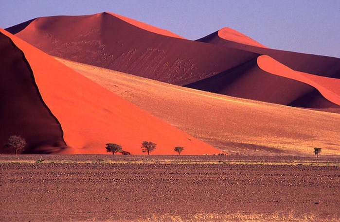     (700x457, 109Kb)