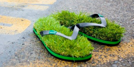 grassshoe00 (450x224, 55Kb)