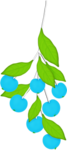  Berries01 (164x366, 47Kb)