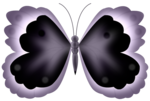  Butterfly (640x431, 195Kb)