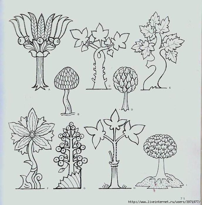 4000 motifs de fleurs et de plantes (59) (689x700, 253Kb)