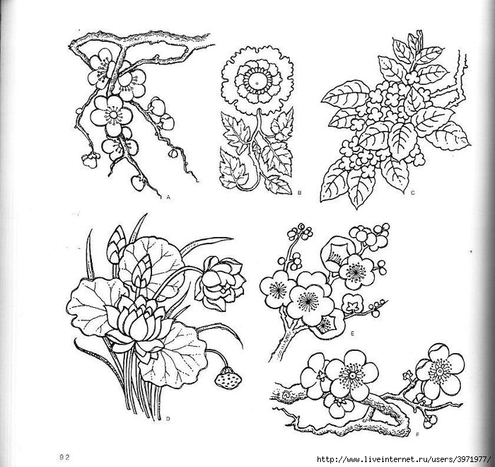 4000 motifs de fleurs et de plantes (80) (700x660, 256Kb)