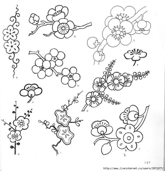 4000 motifs de fleurs et de plantes (95) (674x700, 219Kb)