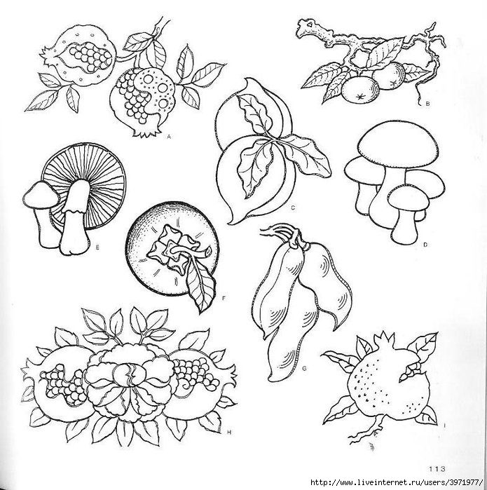 4000 motifs de fleurs et de plantes (101) (695x700, 254Kb)