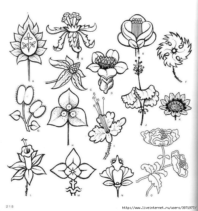 4000 motifs de fleurs et de plantes (206) (657x700, 263Kb)