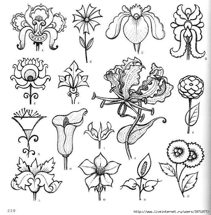 4000 motifs de fleurs et de plantes (216) (687x700, 302Kb)