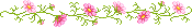 4360286_909932yavi27pc1q_2_ (175x26, 0Kb)