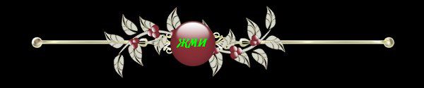 4268381_knopka_Jmi_5 (600x125, 12Kb)
