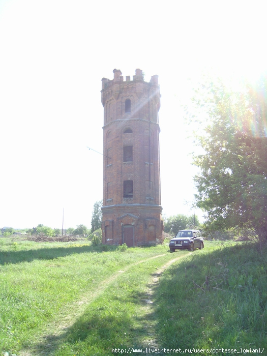 DSC04147 (525x700, 230Kb)