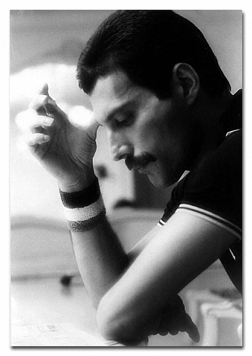 Freddie_Mercury (497x700, 184Kb)