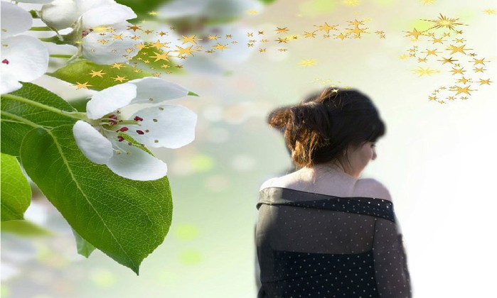 1_DIVJTLDR (700x420, 63Kb)
