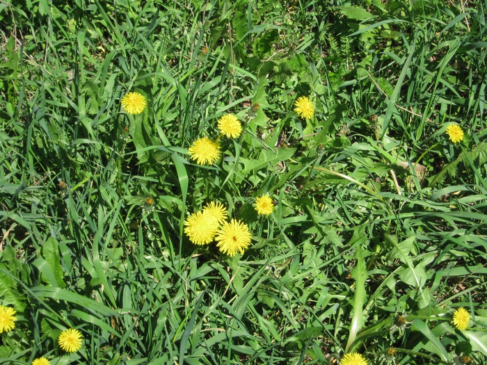 4715348_039 (700x525, 424Kb)